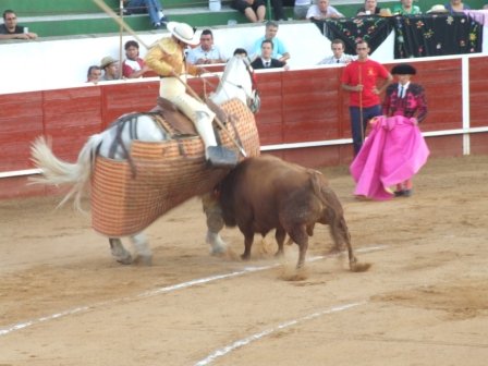 Fiestas 2011