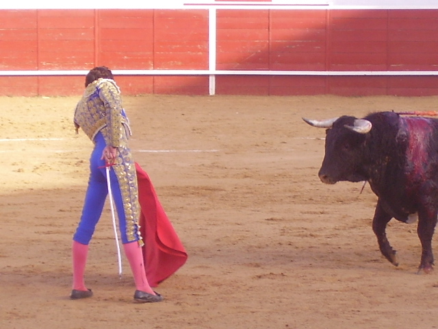 toros2006