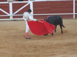Feria Artesanía y más